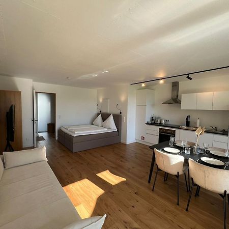Urban Lodges - Studio Apartments Am Seerhein Κωνσταντία Εξωτερικό φωτογραφία